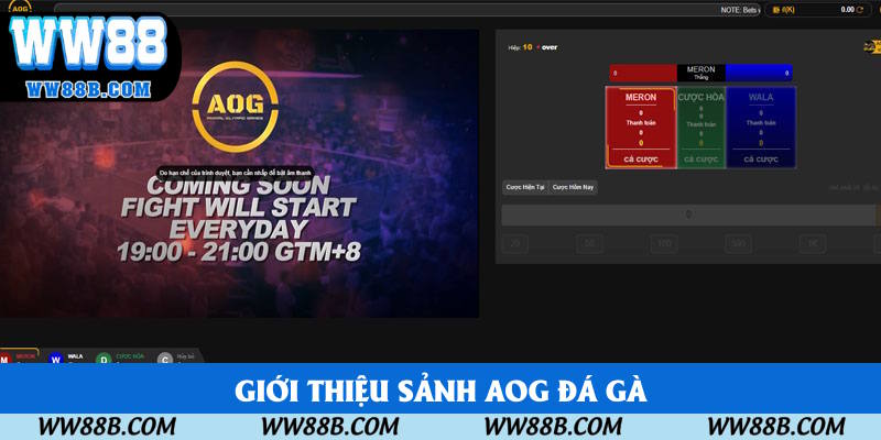 Nội dung giới thiệu AOG gà đá
