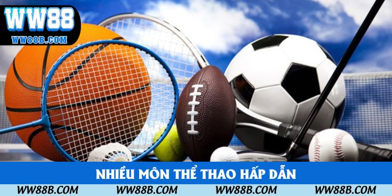 Nhiều môn thể thao hấp dẫn tại CMD SPORT