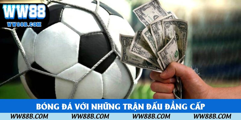 Cá cược bóng đá với những trận đấu đẳng cấp nhất thế giới