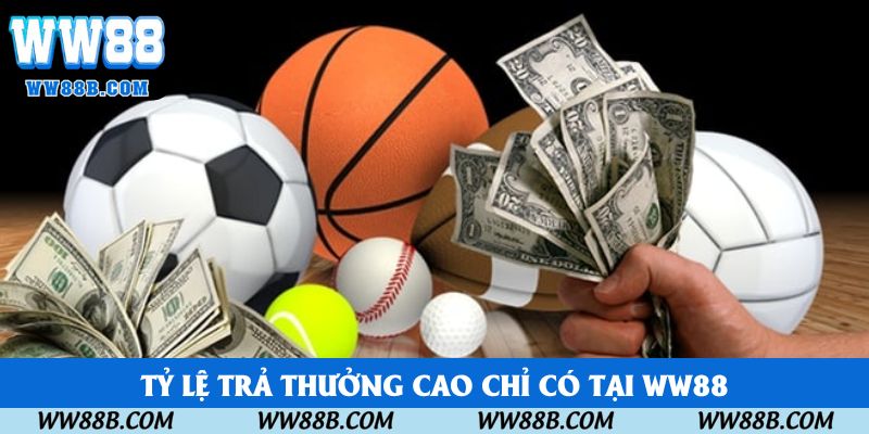 Tỷ lệ trả thưởng cao chỉ có tại WW88